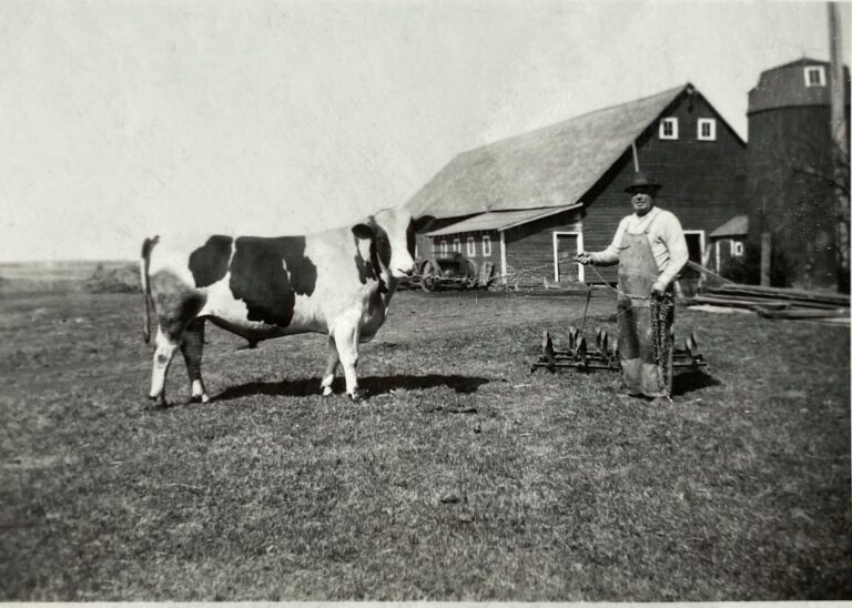 Mathew Magdziarz with Bull on his Farm